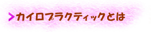 カイロプラクティックとは