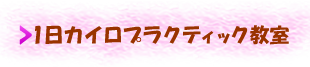 1日カイロプラクティック教室